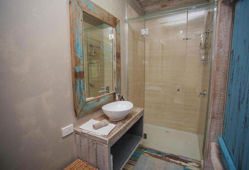 膳宿费 The Laurels Of Chinchilla