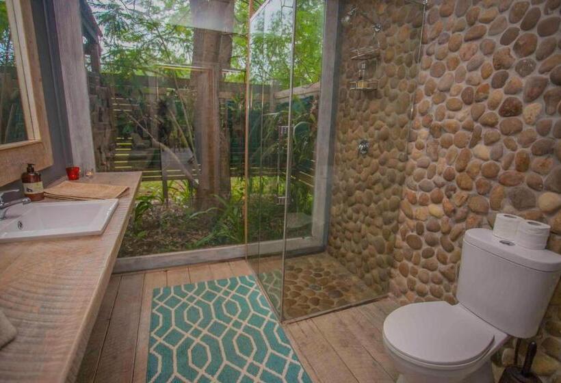 膳宿费 The Laurels Of Chinchilla