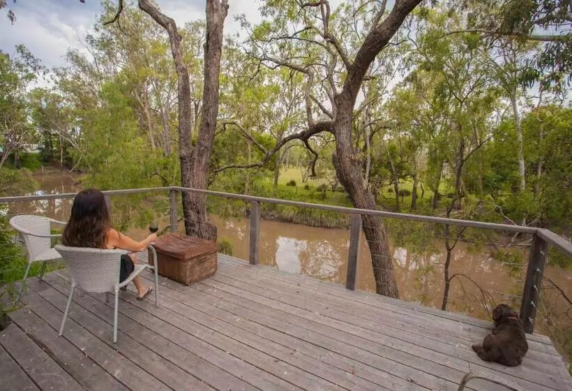 Пансион The Laurels Of Chinchilla