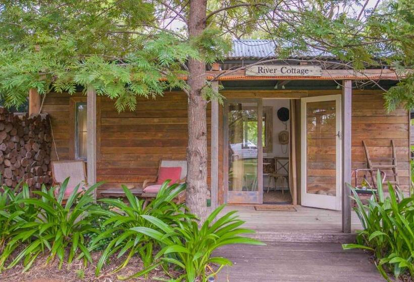 膳宿费 The Laurels Of Chinchilla