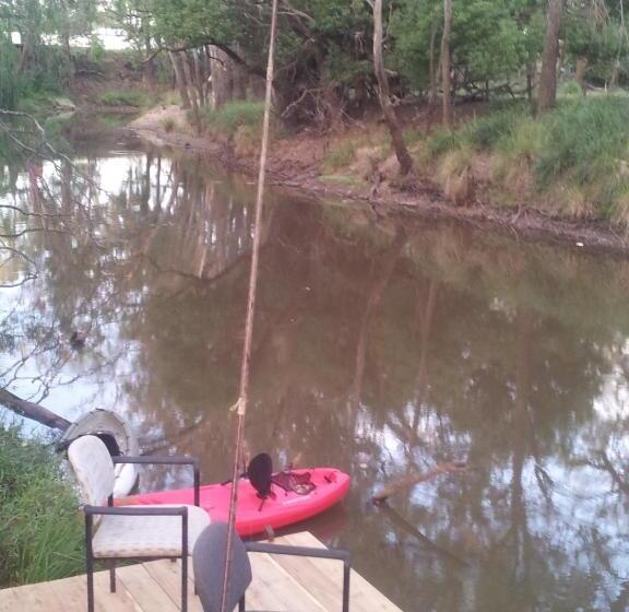 膳宿费 The Laurels Of Chinchilla