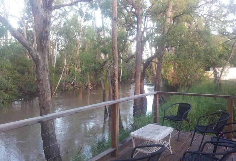 膳宿费 The Laurels Of Chinchilla