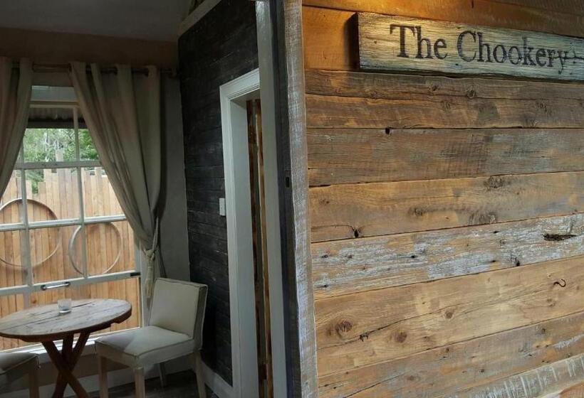 膳宿费 The Laurels Of Chinchilla