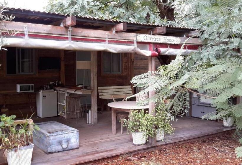 膳宿费 The Laurels Of Chinchilla