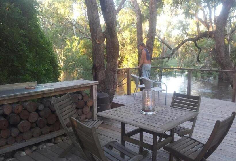 膳宿费 The Laurels Of Chinchilla