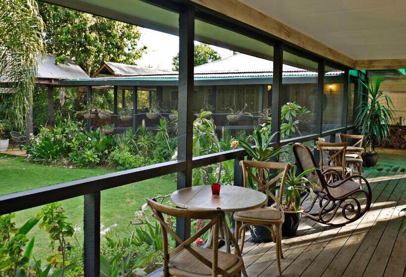 膳宿费 The Laurels Of Chinchilla