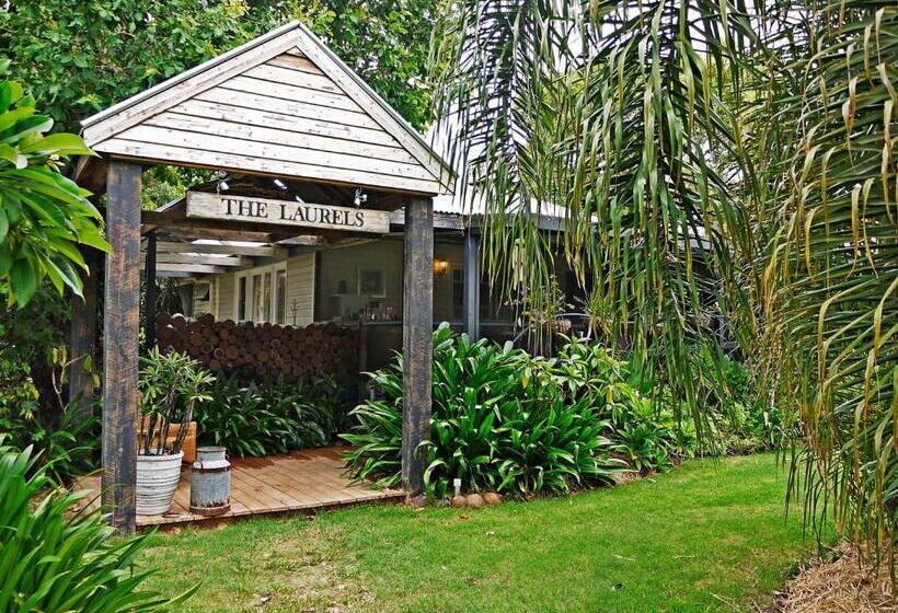 膳宿费 The Laurels Of Chinchilla