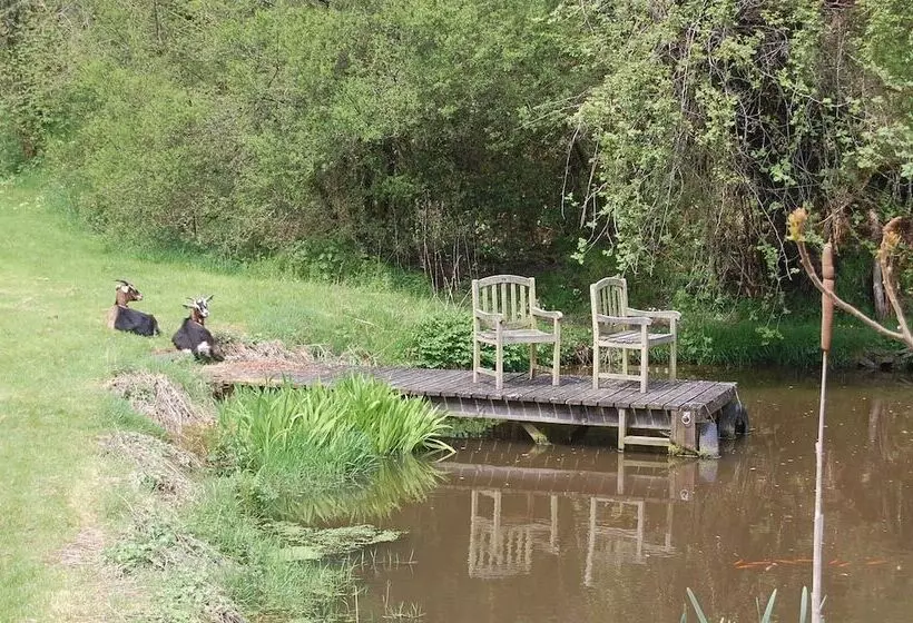 مبيت وإفطار Cwmllechwedd Fawr