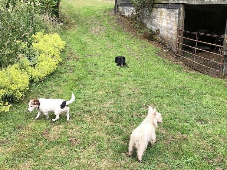 Aamiaismajoitus (B&B) Cwmllechwedd Fawr