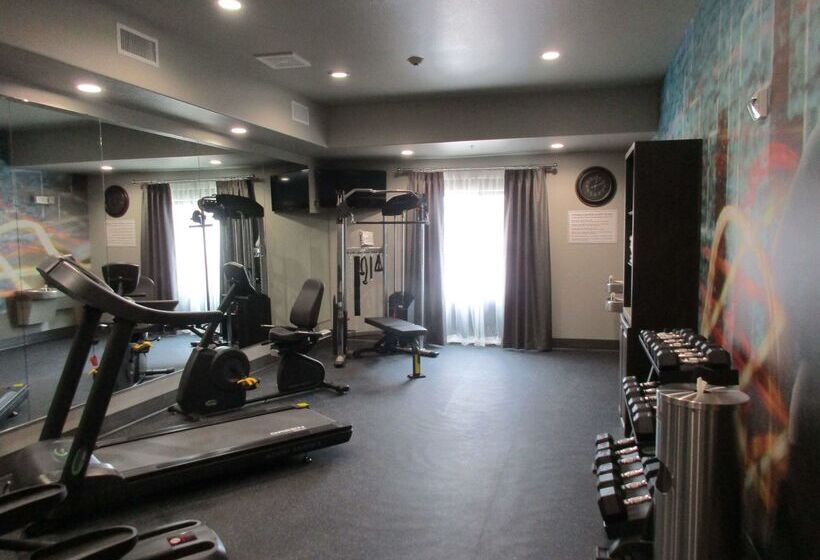 Otel Best Western Plus Ardmore Inn & Suites