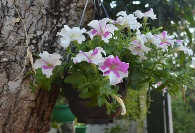 ホテル Bevary City