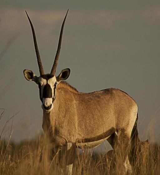 Hotel Forum Homini Boutique