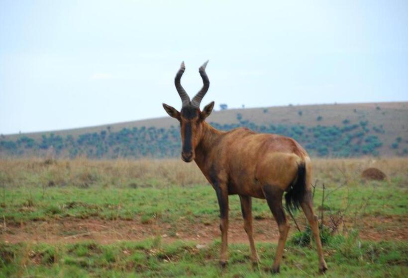 Hotel Forum Homini Boutique