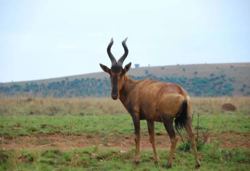 Отель Forum Homini Boutique
