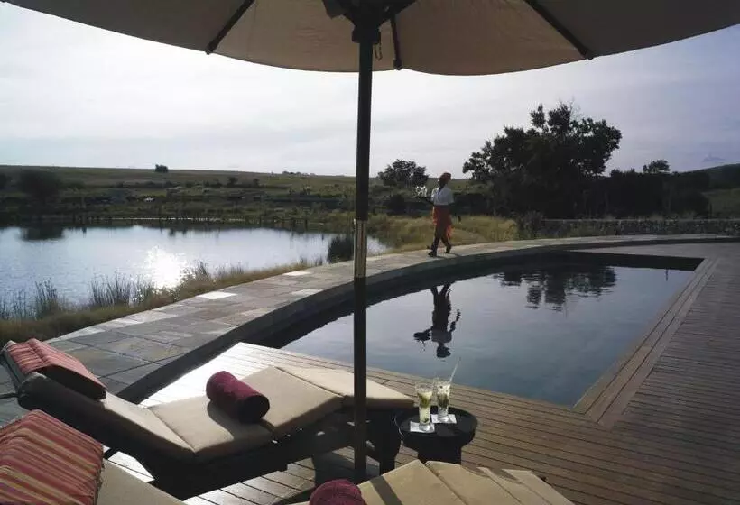 Отель Forum Homini Boutique