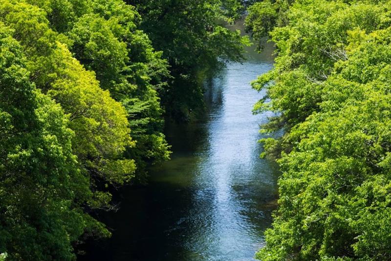 ホテル Hazu Bekkan