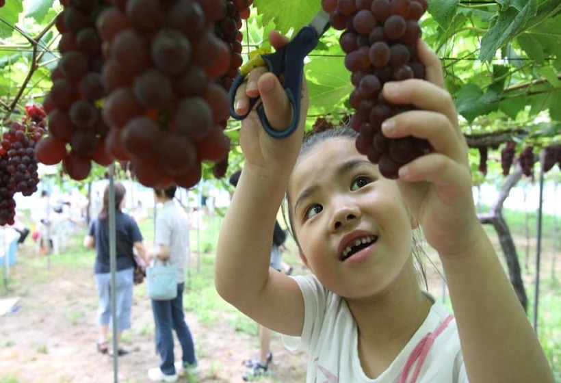 Hotel Ooedo Onsen Monogatari Wanwan Resort Yataya Shotoen
