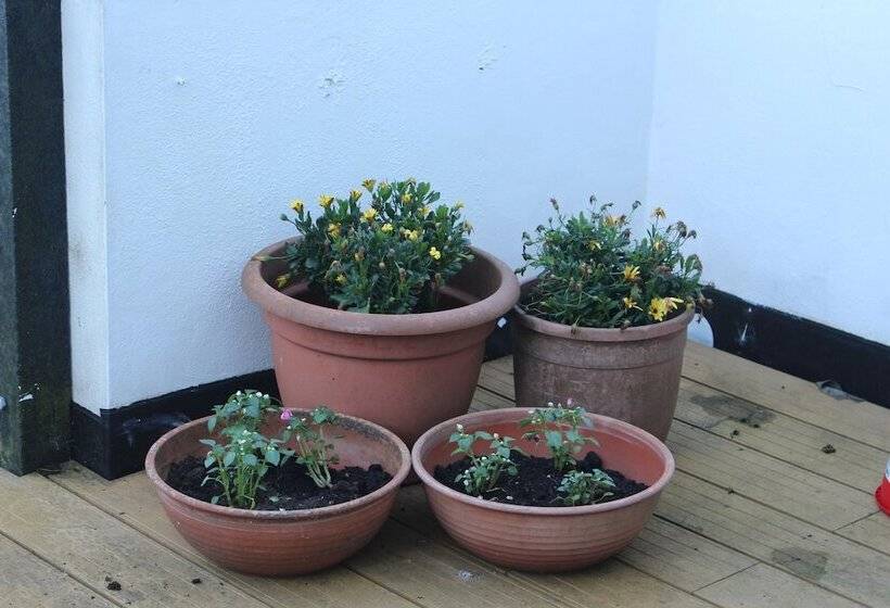 Pensão Fernleigh Guest House