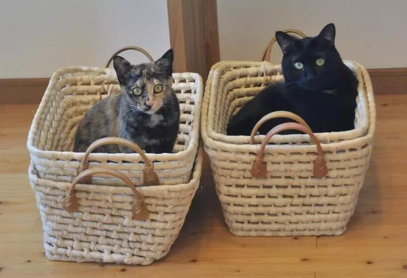 Пансион Polaris