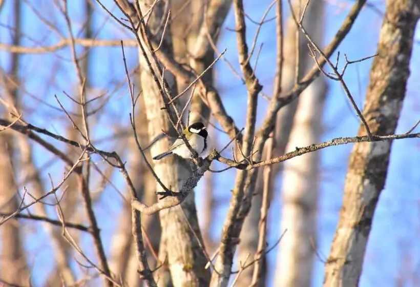 Пансион Polaris