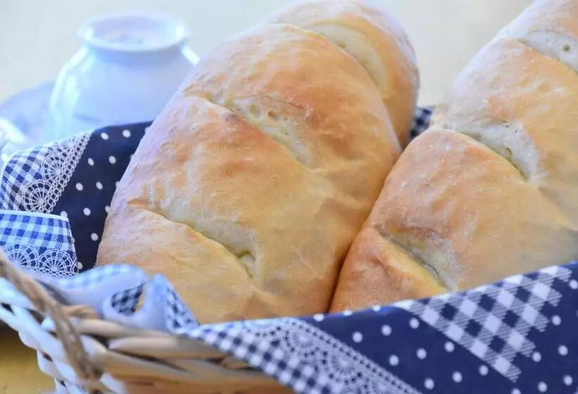 Пансион Polaris