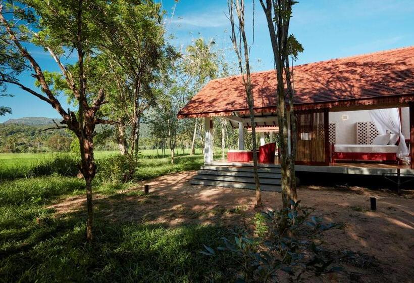 אתר נופש Jetwing Kaduruketha