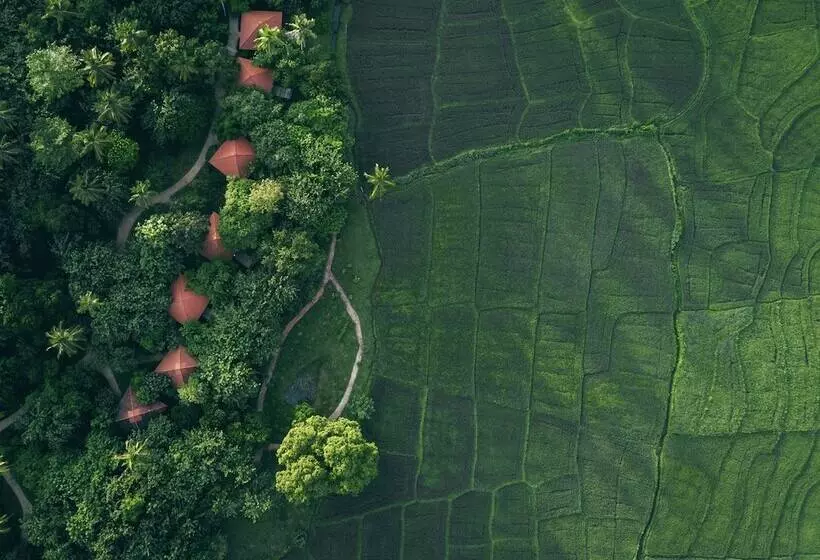 Kurort  Jetwing Kaduruketha