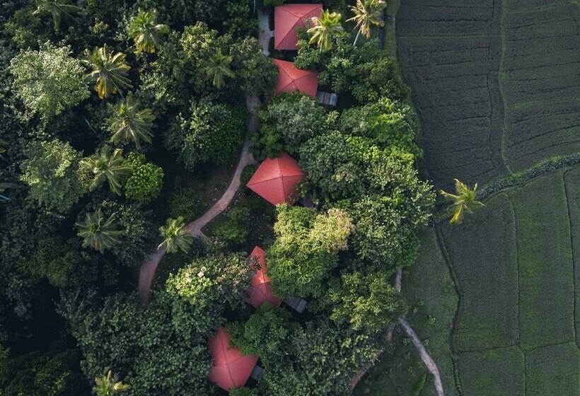 אתר נופש Jetwing Kaduruketha