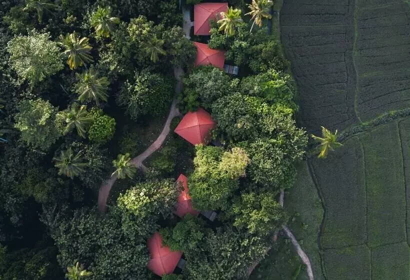 Kurort  Jetwing Kaduruketha