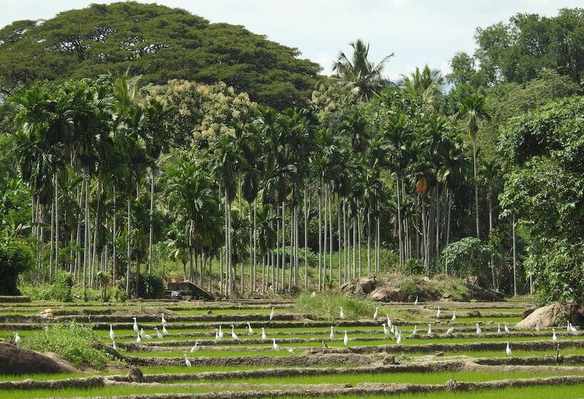 אתר נופש Jetwing Kaduruketha