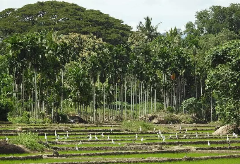 Kurort  Jetwing Kaduruketha