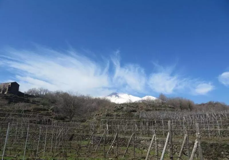 Le Case Del Merlo Turismo Rurale