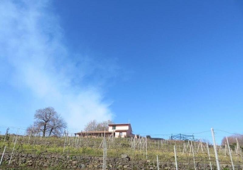 Le Case Del Merlo Turismo Rurale