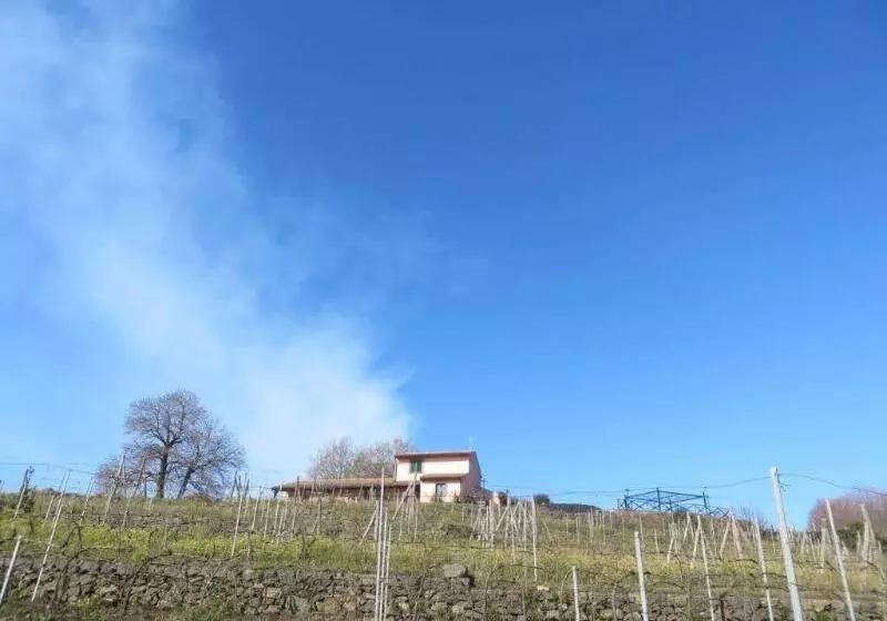 Le Case Del Merlo Turismo Rurale