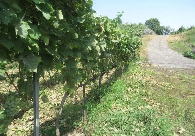 Le Case Del Merlo Turismo Rurale