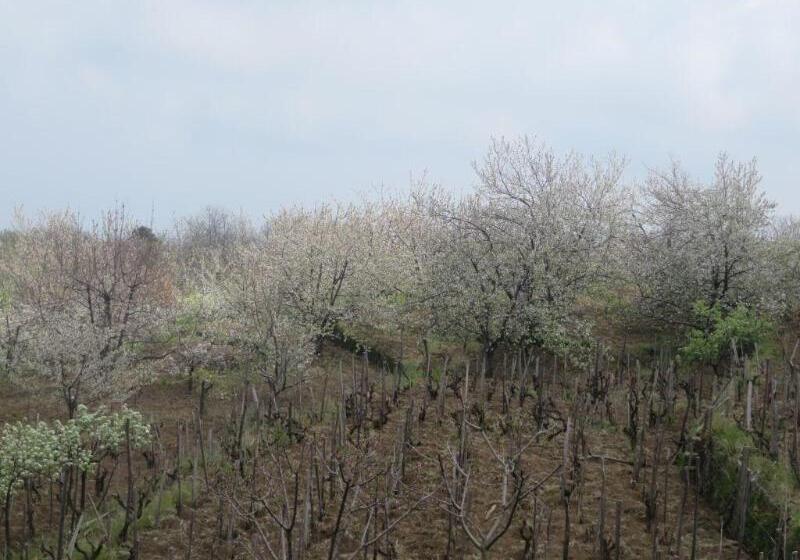 Le Case Del Merlo Turismo Rurale