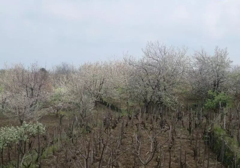 Le Case Del Merlo Turismo Rurale