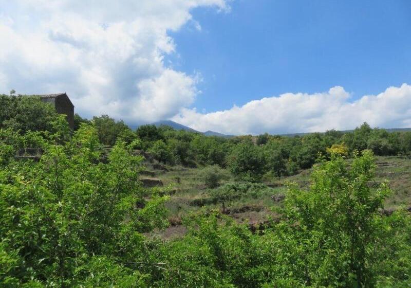 Le Case Del Merlo Turismo Rurale