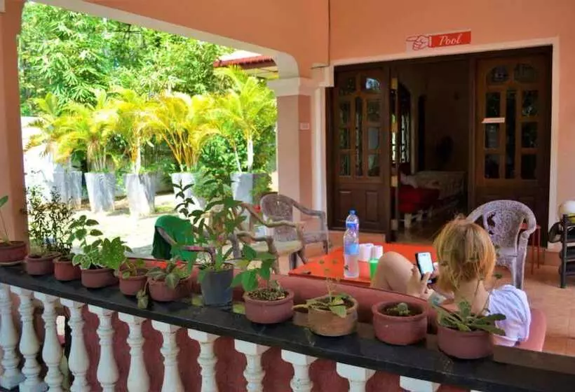 Dambulla City Hostel