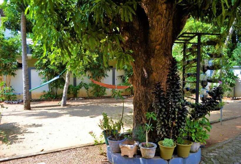 Dambulla City Hostel