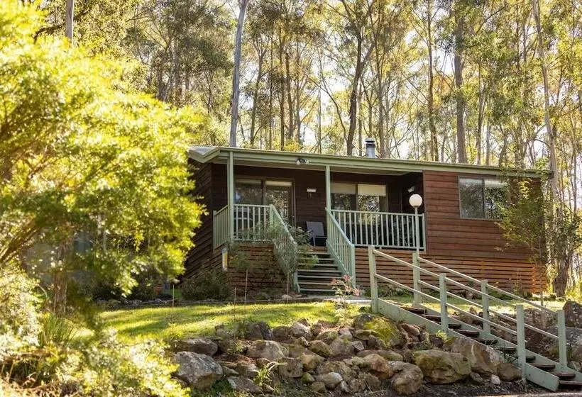 ホテル Cottages On Mount View