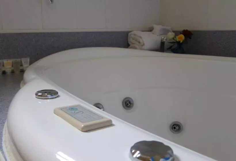 Отель Dalby Mid Town Motor Inn