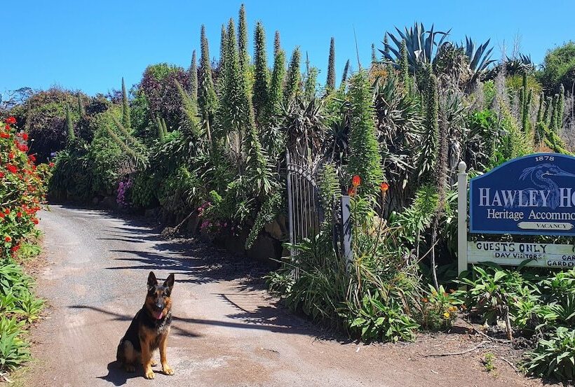 בית מלון כפרי Hawley House