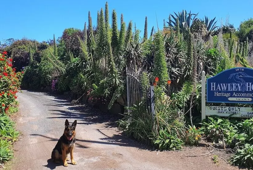 בית מלון כפרי Hawley House