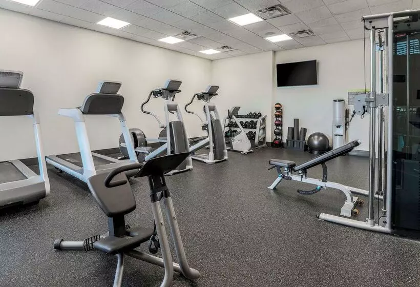 בית מלון כפרי Hilton Garden Inn Ardmore