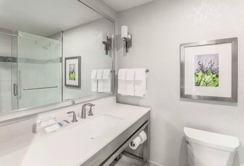 בית מלון כפרי Hilton Garden Inn Ardmore