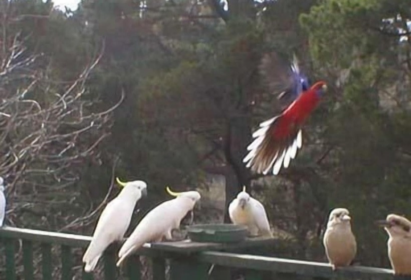 Отель Mooltan House