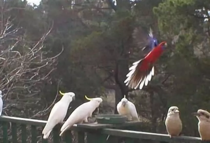 酒店 Mooltan House