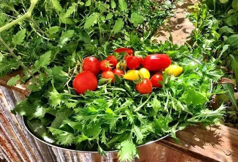 ホテル North Gregory