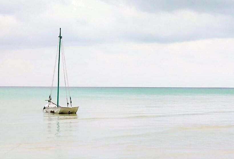 La Constanza De Rulo